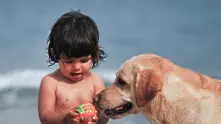Учени: 2-годишните деца и кучетата са с еднакъв интелект