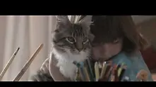 Реклама по истинска история разказва как котка помага на дете с аутизъм