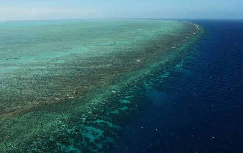 Коралите в Големия бариерен риф загиват
