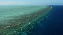 Коралите в Големия бариерен риф загиват
