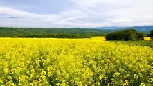 Времето: Топло и слънчево