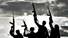 Двама служители на ЕС убити при атака на джихадисти в Мали
