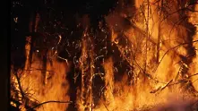 Силни пожари в Хърватия, евакуират масово туристи