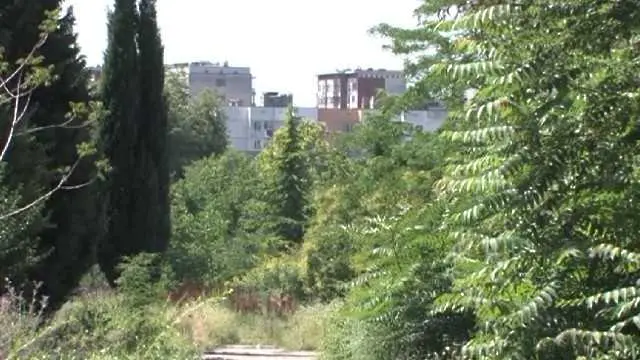 Стара Загора спасява парк на референдум