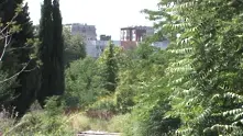 Стара Загора спасява парк на референдум