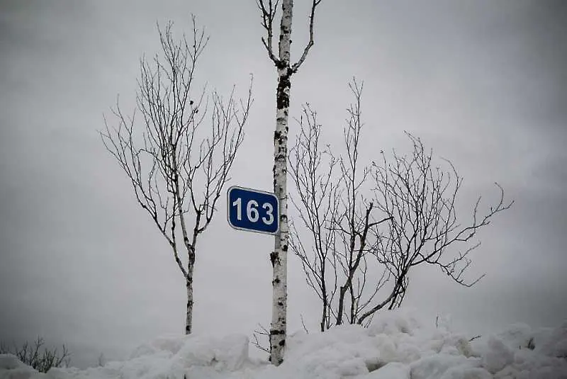 Руски климатолози предричат цветущо бъдеще за Сибир 