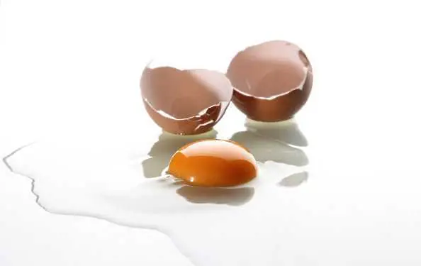 Арести в Холандия заради заразените яйца