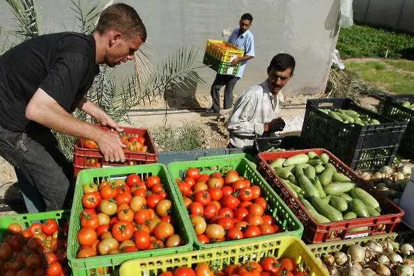 Хърватия въведе по-строги мерки за внос на зеленчуци от някои балкански страни