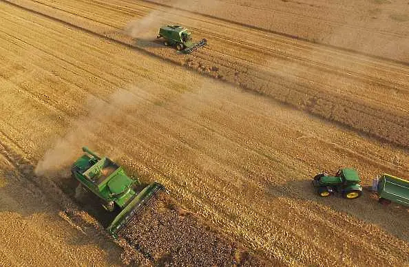Държавният резерв обяви обществена поръчка за 16 хил. тона пшеница