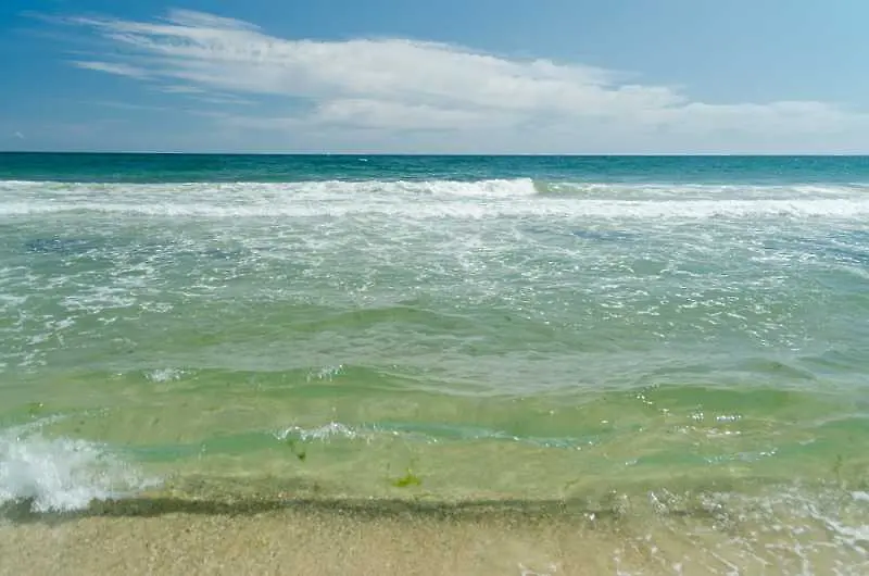 Затичайте се по вълните (видео)
