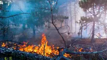 Евакуират село Влахи заради пожара в Кресненското дефиле
