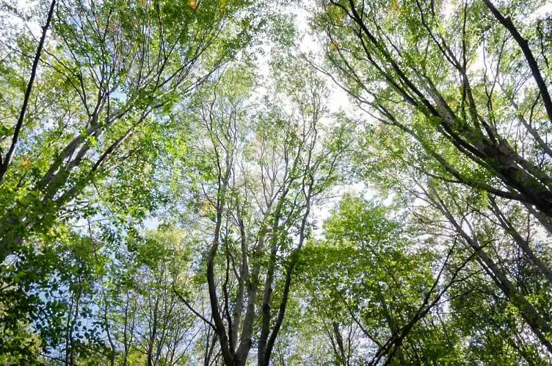 Времето: Облачно и ветровито, дъждът спира