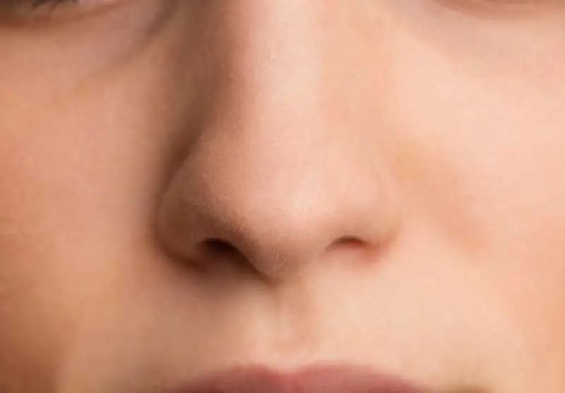 Датски учени създадоха изкуствен нос