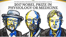 Билогичният часовник донесе Нобел за медицина на трима американци