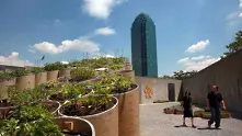 Градско фермерство завладява покривите на Париж, Лондон, Ню Йорк