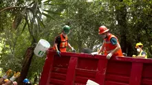 Над 2 млрд. долара ще струва възстановяването на Мексико