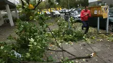 Ураганни ветрове в Германия убиха 7 души