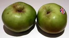 Спасяват 200-годишна ябълка в Англия като културна ценност