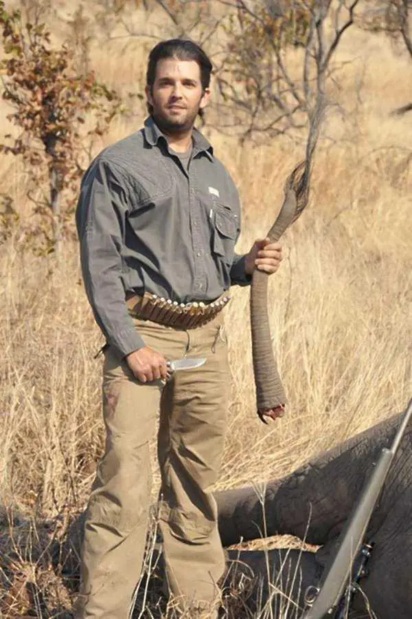 Тръмп разреши отново вноса на трофеи от убити слонове