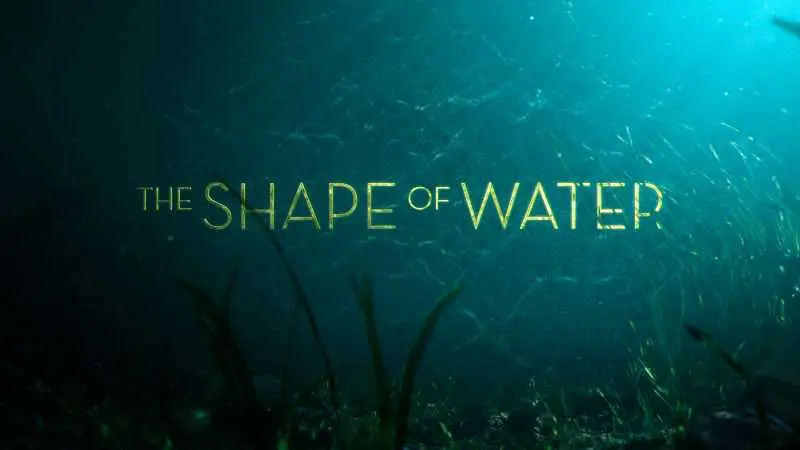 Прилича ли Формата на водата на друг филм от 1984 г.?