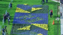 Холандска мозайка от лалета разцъфтя пред НДК