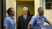 Радован Караджич обжалва присъдата си за геноцид
