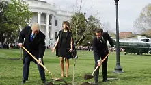 Защо изчезна дръвчето, засадено от Тръмп и Макрон