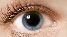 ﻿Какво казват очите ви за вашата интелигентност