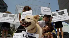 Южнокорейски съд обяви за незаконно убиването на кучета за месо