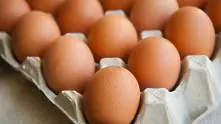 Изтеглят над 1 млн. яйца от пазара заради птичи грип