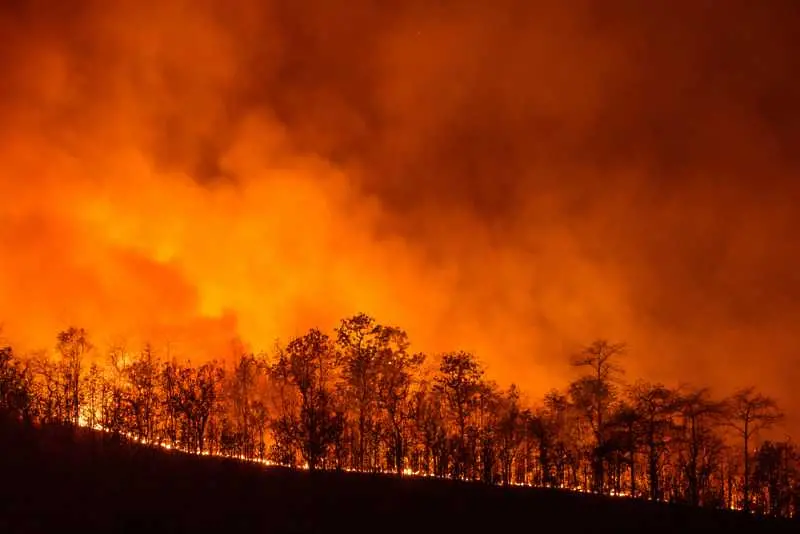 Най-малко 50 души загинаха при горски пожари край Атина