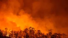 Най-малко 50 души загинаха при горски пожари край Атина