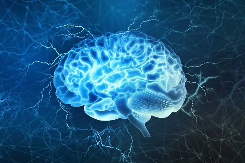 5 неща, които объркват мозъка