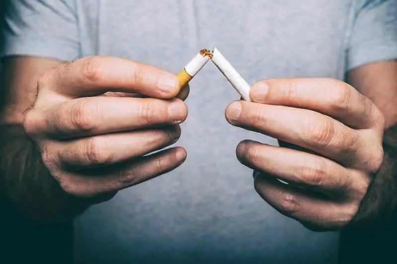 Контрабандата на цигари спаднала под 6%