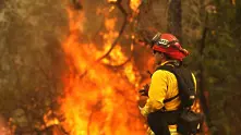 Пожарите в Калифорния отнеха живота на шест души