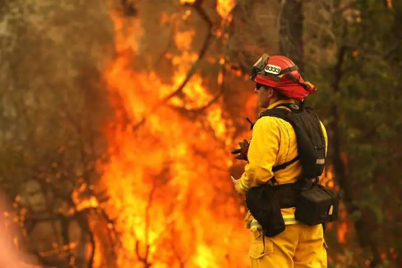 Около 12 000 пожарникари се бориха с огъня в Калифорния