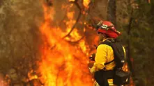 Около 12 000 пожарникари се бориха с огъня в Калифорния
