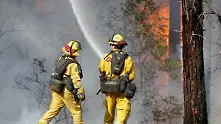 Горските пожари в Северна Калифорния станаха най-големите в историята на щата