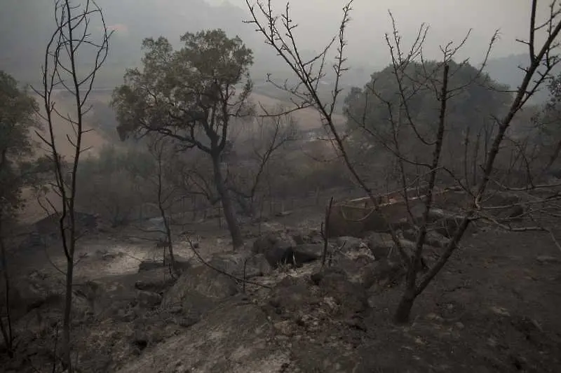 Португалия и Испания овладяха големите горски пожари