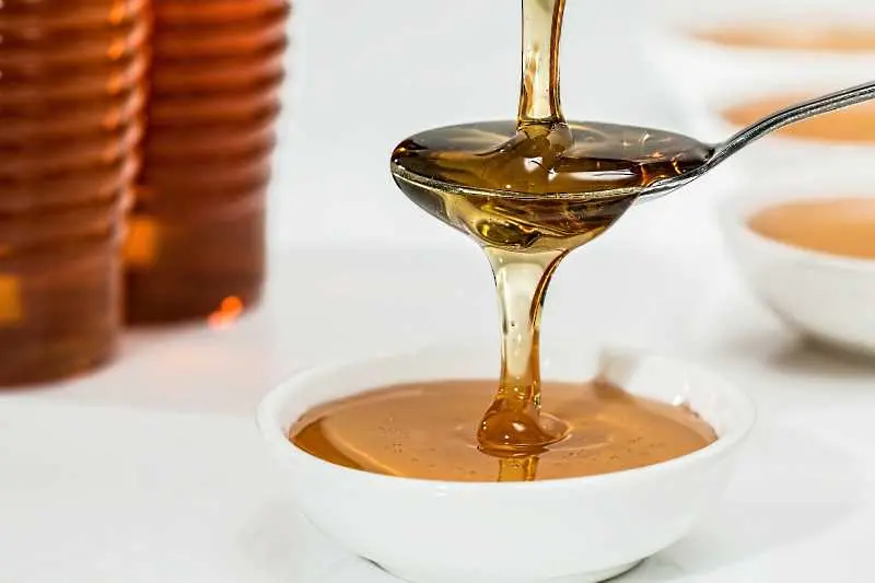 Странджанският манов мед става защитен продукт