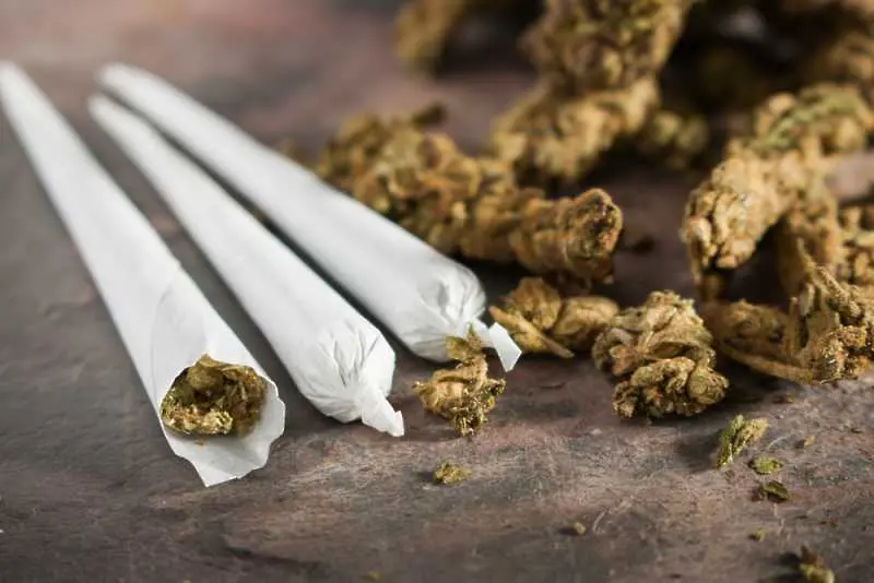 Грузия легализира марихуаната за лично ползване