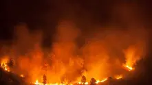 Над 2000 къщи са засегнати от пожарите в Гърция
