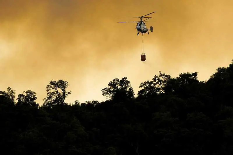 Пожар унищожи гора във Франция