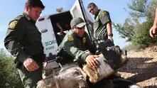 Мексиканските пехотинци заловиха рекордно количество наркотици