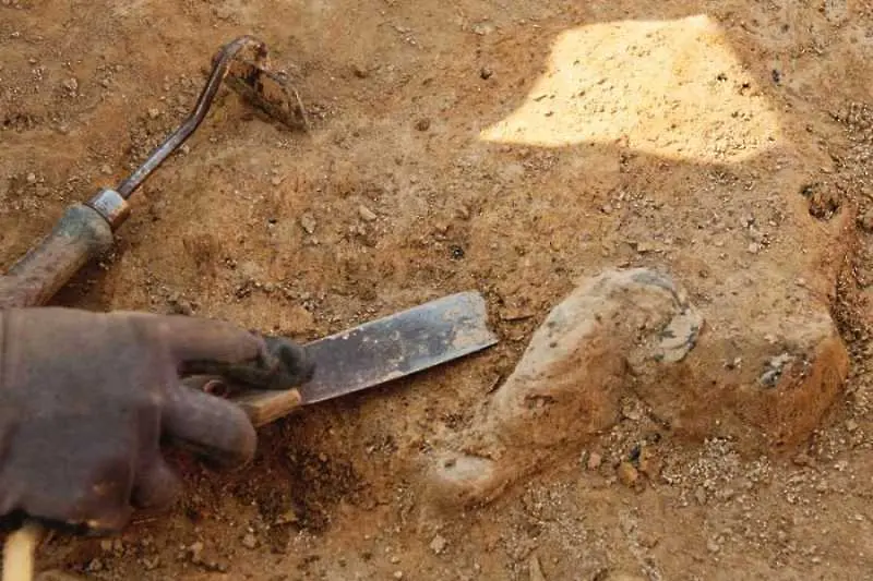 Останки на праисторически човек бяха открити край Суворово