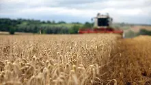 Световната реколта от зърно най-ниска от 3 години насам
