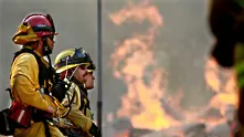 31 станаха жертвите на горските пожари в Калифорния