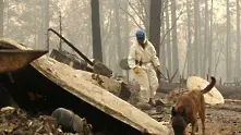56 станаха жертвите на пожара в  Калифорния, 130 души са в неизвестност