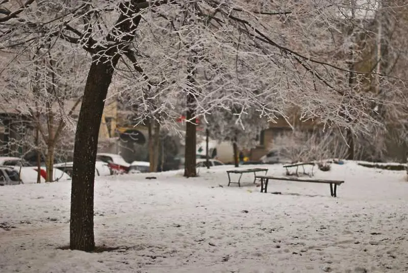 Времето: Сняг в Западна България, до плюс 10 в Югоизточна