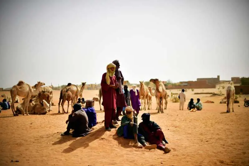 Десет сини каски са убити при нападение в Мали